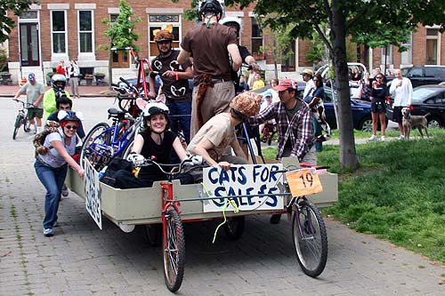 baltimore kinetic sculpture race 2007 race report cats for sale 5 cats for sale 500x333