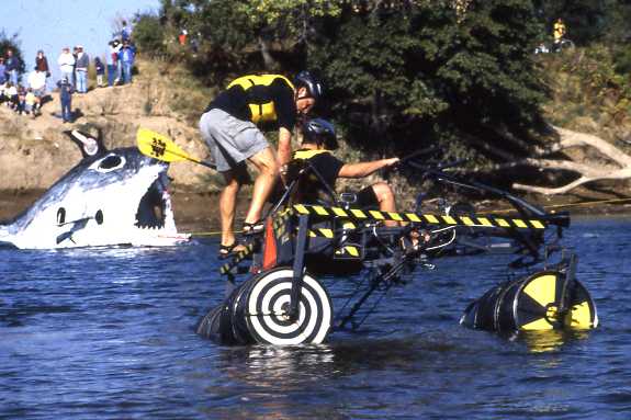 bull shark attack pictures. sharks attack as of ull